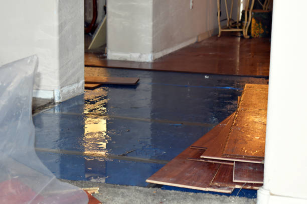 Professional Water Extraction technician working in Colchester, IL